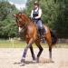Frdhee Safety Stainless Steel Stirrups for Adults & Children | Anti-Slip Rubber Tread | Equestrian Saddle Safety - 2 Pieces - Buy Online on GoSupps.com