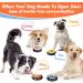 DCIAER Dog Buttons for Communication Talking Buttons for Dogs 6 Recordable Sound Buttons + 24 Scene Patterns + 1 Dog Button Mat 30 Seconds Dog Buttons for Pet Sound Training Toy 6pcs - Buy Online on GoSupps.com