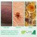 JCGJC Antibacterial , Antibiotic Cream for Skin Infection Soothing Ointment for Sensitive Skin and Disinfection, Antibacterial - 15g - Buy Online on GoSupps.com