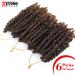 8 Pre-Twisted Passion Twist Crochet Braids - Short Curly Bomb Twist Hair Extensions (Pack of 6, T30) - Buy Online on GoSupps.com