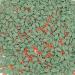 Scrumptious - Christmas Holly And Berries Sugar Shapes Cake Topper Sprinkles - 25g Edible Matt Sugar Festive Cupcake Decorations - Ideal For Xmas Themed Party Cakes And Bakes - Buy Online on GoSupps.com