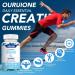 Creatine HCL Gummies 2000mg Fast Absorbing Creatine HCL for Strength & Recovery Easy-to-Take, Great-Tasting Creatine Gummies for Athletes & Fitness Enthusiasts ,More Gentle on Stomach Blueberry 60 Count (Pack of 1) - Buy Online on GoSupps.com