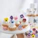 60 Edible Flower Pansies for Cake Decoration | Catelves | Perfect for Weddings & Celebrations - Buy Online on GoSupps.com