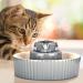 Porcelain Cat Water Fountain for Dogs & Cats | 3 Filters, 2 Pumps - Grey - Buy Online on GoSupps.com