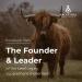 Grass Fed Beef Liver Capsules - Supports Energy, Detox, Digestion & Immunity - 180 Capsules - Buy Online on GoSupps.com
