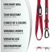 Blucelle Strong Dog Leash 3m - Robust 360 Carabiner for Large Dogs up to 100kg | Adjustable Freehand Leash for 2 Dogs | Durable Red Design - Buy Online on GoSupps.com