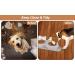 Radsocken 3-in-1 Cat Bowl with Stand | Double Cat Bowls with Water Dispenser | Anti-Slip & Spill-Proof Design - Buy Online on GoSupps.com