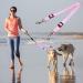 Dual Dog Leash with Splinter Stop - Adjustable Training Leash for Small Medium & Large Dogs - Perfect for Jogging & Hiking (Pink) - Buy Online on GoSupps.com