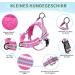 Eyein No-Pull Dog Harness & Leash - Reflective Adjustable Soft Padded Dishes for Puppies Small & Large Dogs Cats - Rose Red XS - Buy Online on GoSupps.com