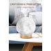 MEIDI Essential Oil Diffuser - Aromatherapy Moon Lamp with Humidifier - Adjustable Brightness & Mist Mode - Buy Online on GoSupps.com