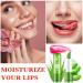 WYBLZPXZ 3 Pack Aloe Vera Lipstick Set - Long Lasting & Moisturizing Magic Color Changing Lip Gloss - Waterproof Matte Lip Balm Trio - Buy Online on GoSupps.com