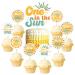 One in the Sun Cake Topper Set - Here Comes the One Cupcake Toppers Retro Boho Sun Smash Cake Topper Cupcake Picks for First Birthday Party Decorations