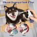 Pet Oral Care Spray Pet Clean Teeth Cleaning Spray for Dogs & Cats Pet Breath Freshener Spray Care Cleaner Teeth Cleaning Spray for Dogs & Cats - Buy Online on GoSupps.com