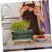 LABRIMP Box Camping Fridge Plastic Tray Egg Drawer for Refrigerator Egg Organizer Multi-layer Egg re-usable Green 26.5X16X10CM - Buy Online on GoSupps.com