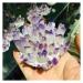 Natural Crystal Cluster Amethyst Specimen Ore Purple Quartz Reiki Stone Raw Crystal Home Decor Decoration Crystal Cluster (Size : 300-400g)