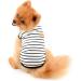 Paidful British Dog Shirt - Striped Soft Cotton T-Shirt for Small Dogs | Breathable Summer Vest for Puppies & Chihuahuas (L: 30cm) - Buy Online on GoSupps.com