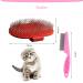 Buy Dxary Rabbit Care Set - Essential Brush and Bathing Kit for Rabbits Guinea Pigs and Small Pets - Fast International Shipping - Buy Online on GoSupps.com