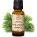 Pine Needle Oil 20ml - 100% Pure & Natural Pinus Sylvestris - Aromatherapy Diffuser & Christmas Tree Scent - Wellness Essential Oil from Austria - Buy Online on GoSupps.com