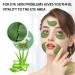 Avocado Collagen Eye Masks - 60 pcs for Puffy Eyes, Dark Circles, and Wrinkles - Hydrating Eye Gel Pads for Under Eye Treatment - Buy Online on GoSupps.com