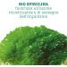 Colors Of Life Colors Of Life Bio Spirulina - Organic Spirulina Platensis Supplement 180 Tablets - 90 g Organic Spirulina is a dietary supplement - Buy Online on GoSupps.com