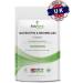 Bodygenix UK Quercetin & Bromelain Capsules (120) - Immune Booster for Swollen Joints - Buy Online on GoSupps.com