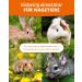 Petifool Winterfit 430G - Natural Supplementary Food for Rodents - Ideal for Rabbits Guinea Pigs Hamsters & Chinchillas - 100% Natural No Artificial Additives - Buy Online on GoSupps.com