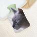 Gray Cat Hot Water Bottle | Plush Cover Bed Warmer for Adults & Children - 26.5x15.3cm | International Shipping - Buy Online on GoSupps.com
