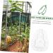 Milisten Gardening Tools 6 pcs Watermelon Mould Tools Clear Supplies Growing Garden Vegetable Multifunction Moldvegetable Transparentx2pcs 9x8cmx2pcs - Buy Online on GoSupps.com
