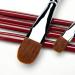 Red Weasel Sable Hair Artist Brushes Filbert Brush Set - 6Pcs for Acrylic, Oil, Gouache, Watercolor Painting - Wooden Handle - Buy Online on GoSupps.com