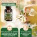 Buy Quercetin Supplement - Pure Sophora Japonica Extract for Immune Support | International Shipping Available - Buy Online on GoSupps.com