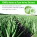 NAILKISS Aloe Vera Gel Organic Moisturizing Cream Soothing and Hydrating for Face Skin Hair & Sunburn Relief 100% Pure Aloe Gel for All Skin Types-300ml (10.1fl.oz) - Buy Online on GoSupps.com