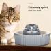 Porcelain Cat Water Fountain for Dogs & Cats | 3 Filters, 2 Pumps - Grey - Buy Online on GoSupps.com
