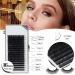 Beginner Lash Extension Kit | 0.07D Curl Mix 7-15mm Lashes | USB Lash Fan & Silicone Pad | Tweezers & Under Eye Gel Pad | Micro Brushes & Mascara Brush | Glue Ring Included | Black - Buy Online on GoSupps.com