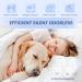 4-Pack UV Mosquito Lamp & Ultrasound Pest Control | Effective Insect Destroyer for Mice Cockroaches and Rats - Buy Online on GoSupps.com