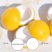 Sample pots 20 Pieces cosmetic pots Empty cosmetic containers with Lid for Creams Sample Make-up Storage (50ml) (yellow) - Buy Online on GoSupps.com