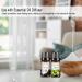 PHATOIL Top 10 Fruity Essential Oils Gift Set - Premium 10ML Fragrance Oil for Diffuser, Soap, Candle Making - Home, Office, Car Use - Buy Online on GoSupps.com