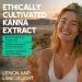 G1 Bundles G1 Bundles 100% 10 B2 InnerAxis Brain & Gut Probiotic & KannaKind Mood Gummies Bundle Fast-Acting Supplement for Mood Clam & Brain Support 10 Billion CFU Psychobiotic & 35mg Kanna - Buy Online on GoSupps.com