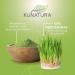 Buy Kunatura Organic Barley Grass Tablets - 300 High-Dose 500mg - Made in Germany - 100% Pure - International Shipping Available - Buy Online on GoSupps.com