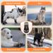 Eyin Dog Shoes - Waterproof Paw Protection for All Dog Sizes | Non-Slip Reflective Velcro Fastener | Outdoor Sports | Size 8 Black - Buy Online on GoSupps.com