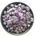 Collection Home Decor Gift 100g Natural Purple Amethyst Point Quartz Crystal Rough Stone Mineral Specimen for Fish Tank Raw Stone (Color : 100g 10-20mm)