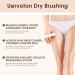 Uervoton Dry Body Brush - Natural Bristles for Exfoliation Cellulite Reduction & Lymphatic Health - International Shipping Available - Buy Online on GoSupps.com