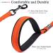 Vivaglory Traffic Handle Dog Leash - Reflective Padded Strong Metal Hook - 1.2m Orange Training Line for Dogs - Buy Online on GoSupps.com