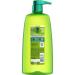 Garnier Fructis Grow Strong Thickening Shampoo with Biotin-C - 33.8 Fl Oz - Fine Hair - 1 Count - Buy Online on GoSupps.com