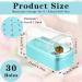 Andibro 2 In 1 Nail Drill Bits Holder 30 Holes Dustproof Nail Bits Organizer Nail Drill Bits Cleaning Brush Case Dustproof Nail Art Drill Bits Stand Display Storage Box Cleaner Manicure Tool (Blue) - Buy Online on GoSupps.com