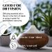 Organic Essential Oils Blend Set for Diffuser - Dream, Stress, Balance, Thieves, Breathe (5 Pack) - Buy Online on GoSupps.com