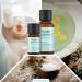 Essenciales Ruta Essential Oil 30ml | 100% Pure & Natural Ruta Graveolens | International Shipping - Buy Online on GoSupps.com
