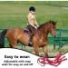 Halter for Horse | Heavy Duty Chin and Throat Snap Halter Horse Comfortable Padded Nylon Horse Halter for Training Equestrian Grooming Lambo Red - Buy Online on GoSupps.com