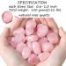 Buy Xiannvxi Rose Quartz Crystals - Large Drum Stones & Hand Flatterer for Healing & Energy - Buy Online on GoSupps.com