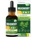Mugwort Herb Liquid Drops for Sleep Support Mugwort Leaves(Artemisia vulgaris) All in 1 Formula for Relaxation Support Herbal Supplement with Valerian Chamomile Tulsi Lavender Extract.2oz Original 2 Ounce