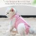 HACRAHO Cat Recovery Suit 1 Pack Pink Cat Surgical Recovery Suit for Abdominal Wounds Breathable Cat Physiological Recovery Clothes After Surgery Wear for Cats Kitten L L Pink - Buy Online on GoSupps.com